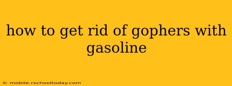 how to get rid of gophers with gasoline