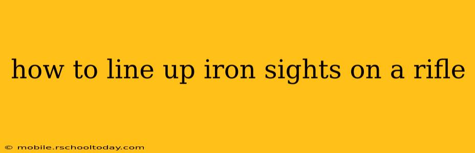 how to line up iron sights on a rifle