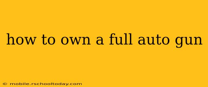 how to own a full auto gun