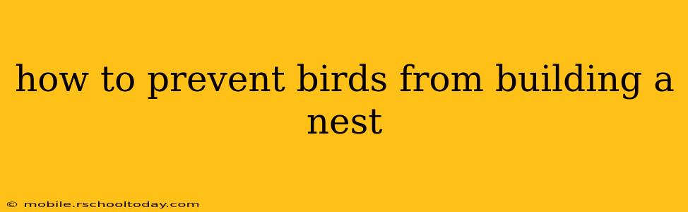 how to prevent birds from building a nest