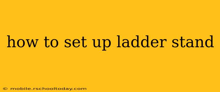 how to set up ladder stand
