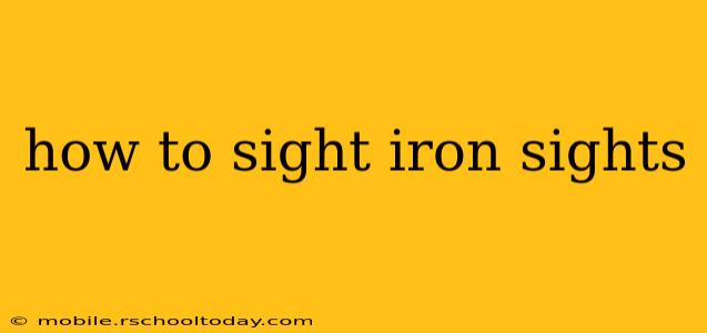 how to sight iron sights