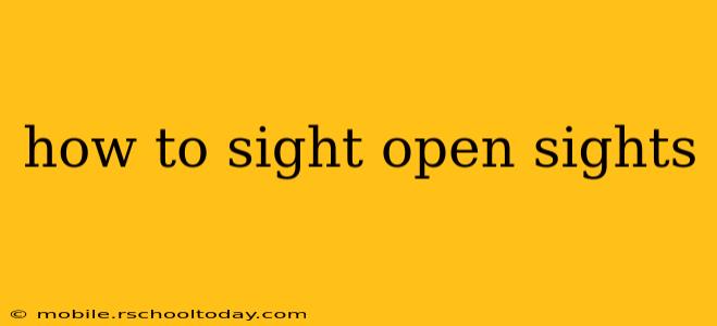 how to sight open sights