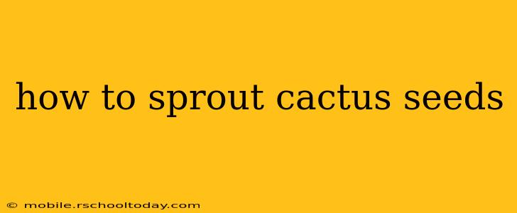 how to sprout cactus seeds