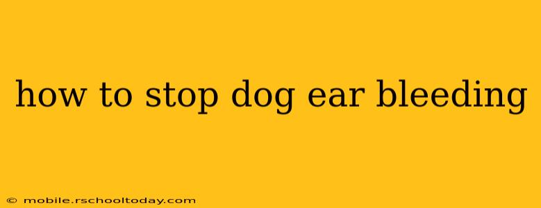 how to stop dog ear bleeding