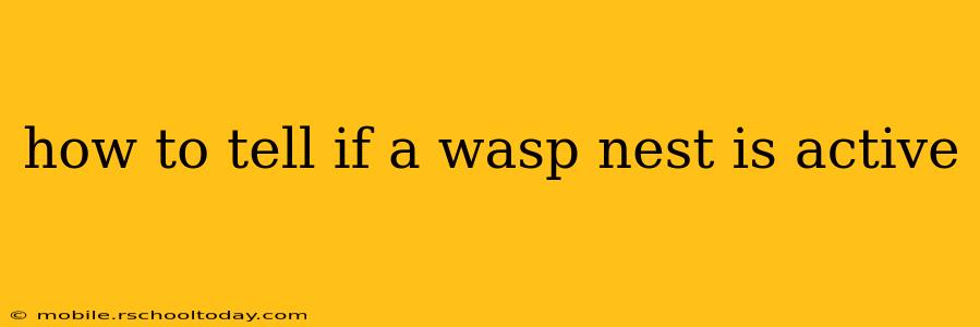 how to tell if a wasp nest is active