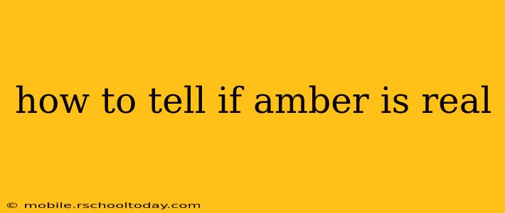 how to tell if amber is real