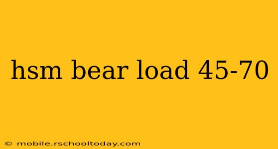 hsm bear load 45-70