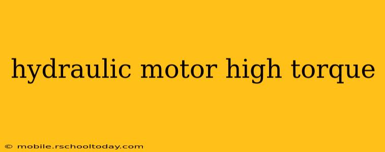 hydraulic motor high torque