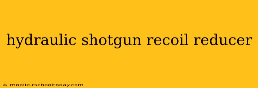 hydraulic shotgun recoil reducer