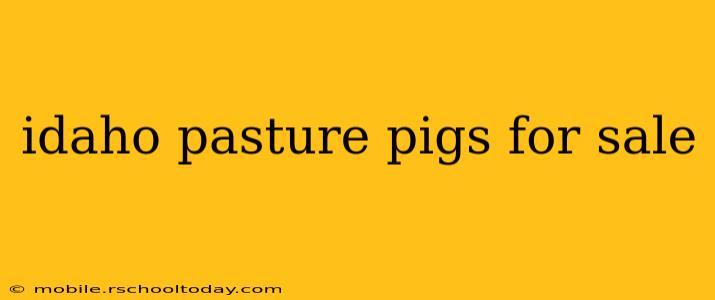 idaho pasture pigs for sale
