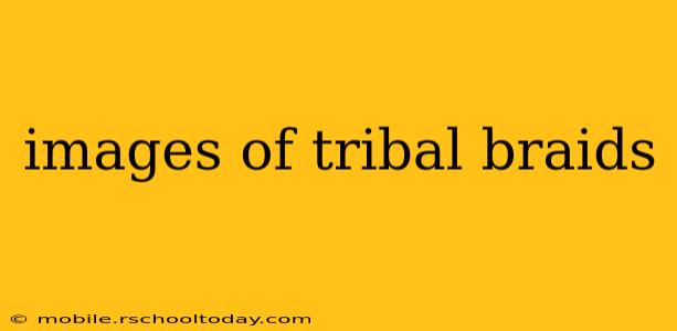 images of tribal braids