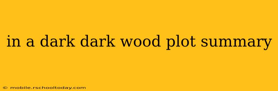 in a dark dark wood plot summary