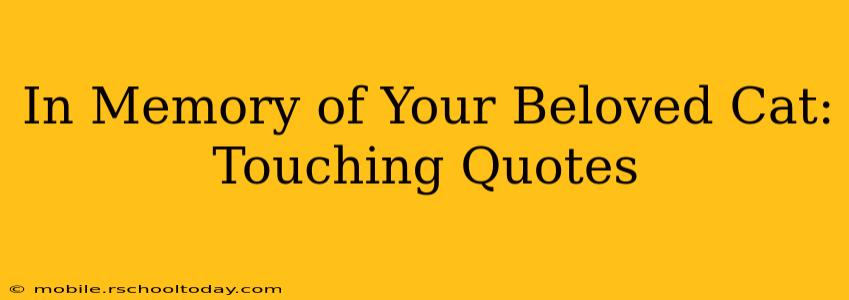 In Memory of Your Beloved Cat: Touching Quotes