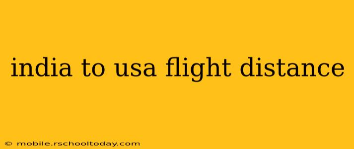 india to usa flight distance