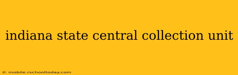 indiana state central collection unit