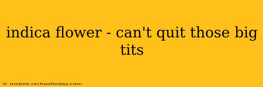 indica flower - can't quit those big tits indica flower - can't quit those big tits