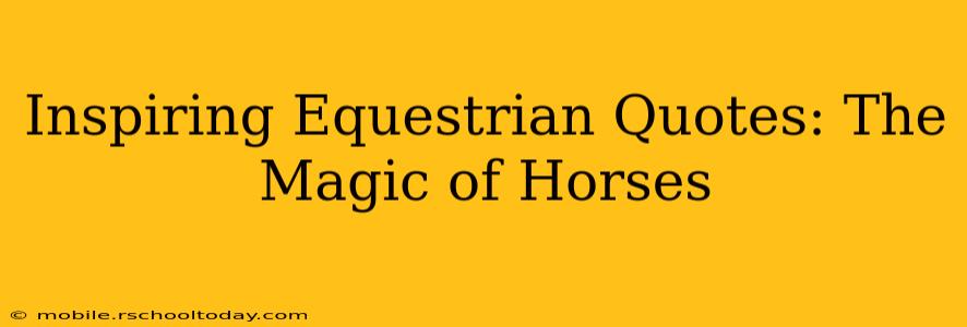 Inspiring Equestrian Quotes: The Magic of Horses
