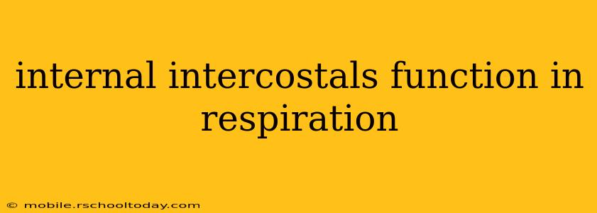 internal intercostals function in respiration