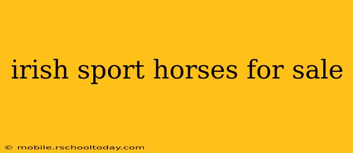 irish sport horses for sale