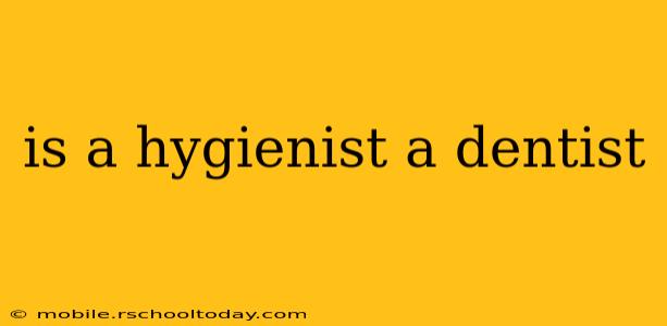 is a hygienist a dentist