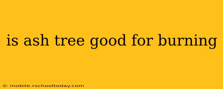 is ash tree good for burning