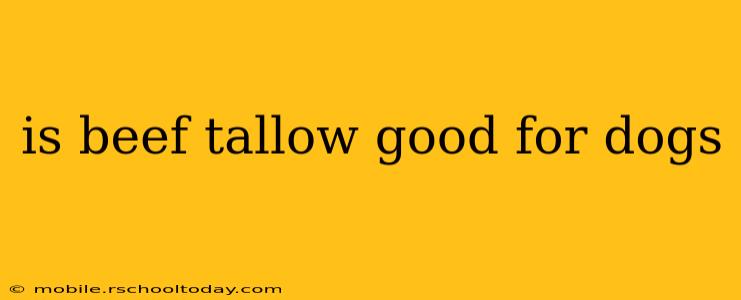 is beef tallow good for dogs