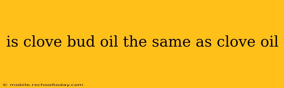 is clove bud oil the same as clove oil