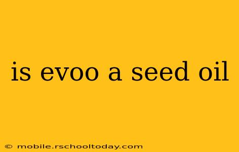is evoo a seed oil