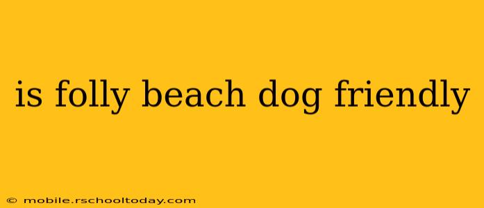 is folly beach dog friendly