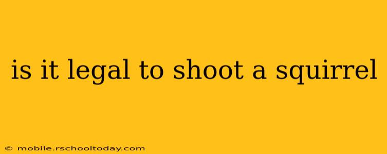 is it legal to shoot a squirrel