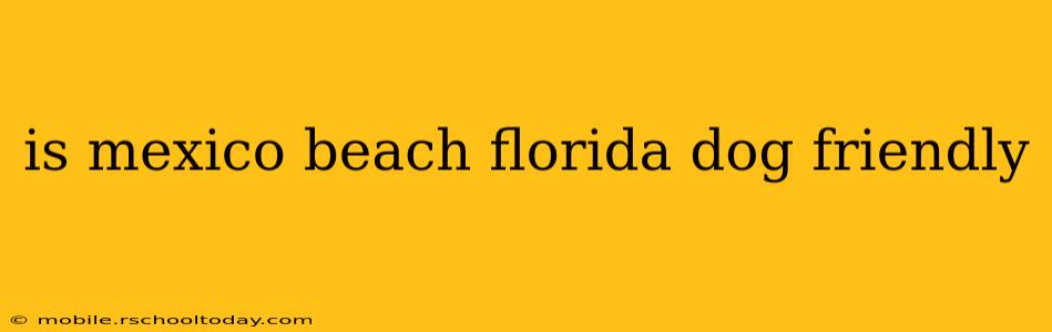 is mexico beach florida dog friendly