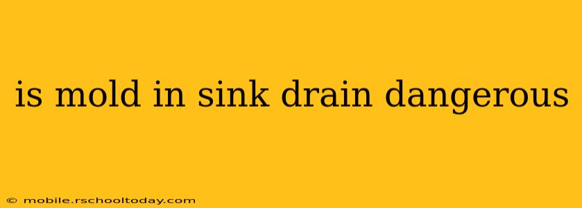 is mold in sink drain dangerous