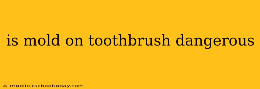 is mold on toothbrush dangerous