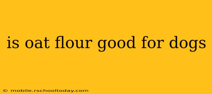 is oat flour good for dogs