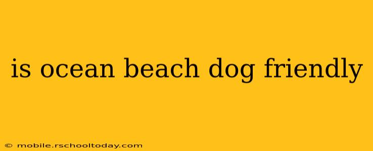 is ocean beach dog friendly