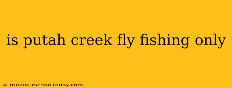 is putah creek fly fishing only