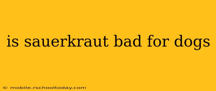 is sauerkraut bad for dogs