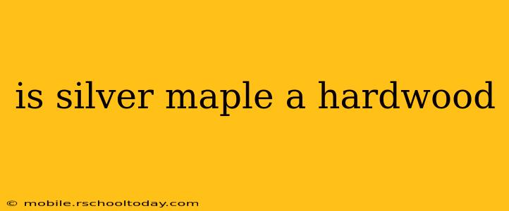 is silver maple a hardwood