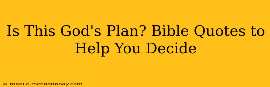 Is This God's Plan? Bible Quotes to Help You Decide