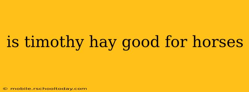 is timothy hay good for horses