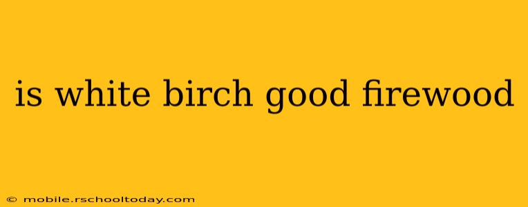 is white birch good firewood