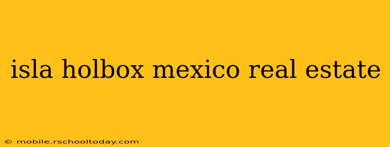 isla holbox mexico real estate