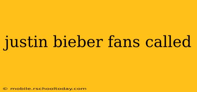 justin bieber fans called