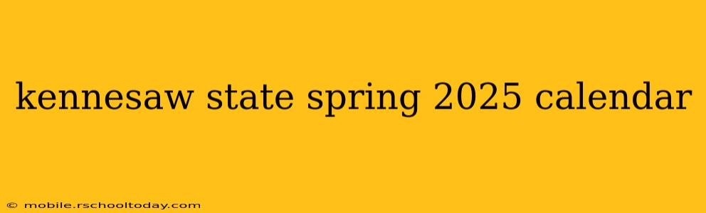 kennesaw state spring 2025 calendar