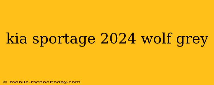 kia sportage 2024 wolf grey