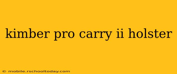 kimber pro carry ii holster