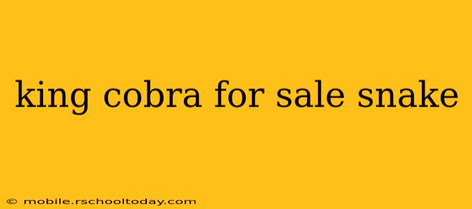 king cobra for sale snake