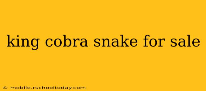 king cobra snake for sale