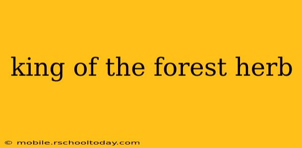 king of the forest herb